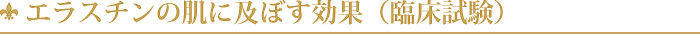 エラスチンの肌に及ぼす効果（臨床試験）