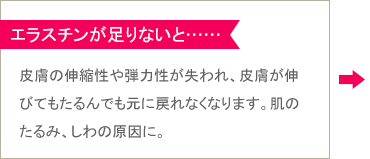 エラスチンが足りないと……