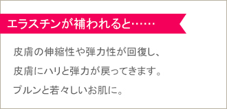 エラスチンが補われると……